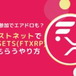 【終了】FassetsをテストネットでFtestXRPをもらうやり方(FLR)