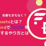 【終了】Fassetsとは？SGBでFDOGEをミントするやり方